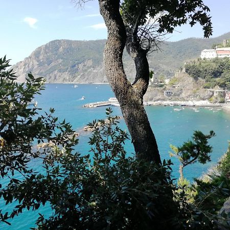 Nel Cuore Di Monterosso Cinque Terre Orto Di Ciack مونتيروسّو ال ماري المظهر الخارجي الصورة