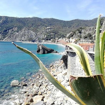 Nel Cuore Di Monterosso Cinque Terre Orto Di Ciack مونتيروسّو ال ماري المظهر الخارجي الصورة