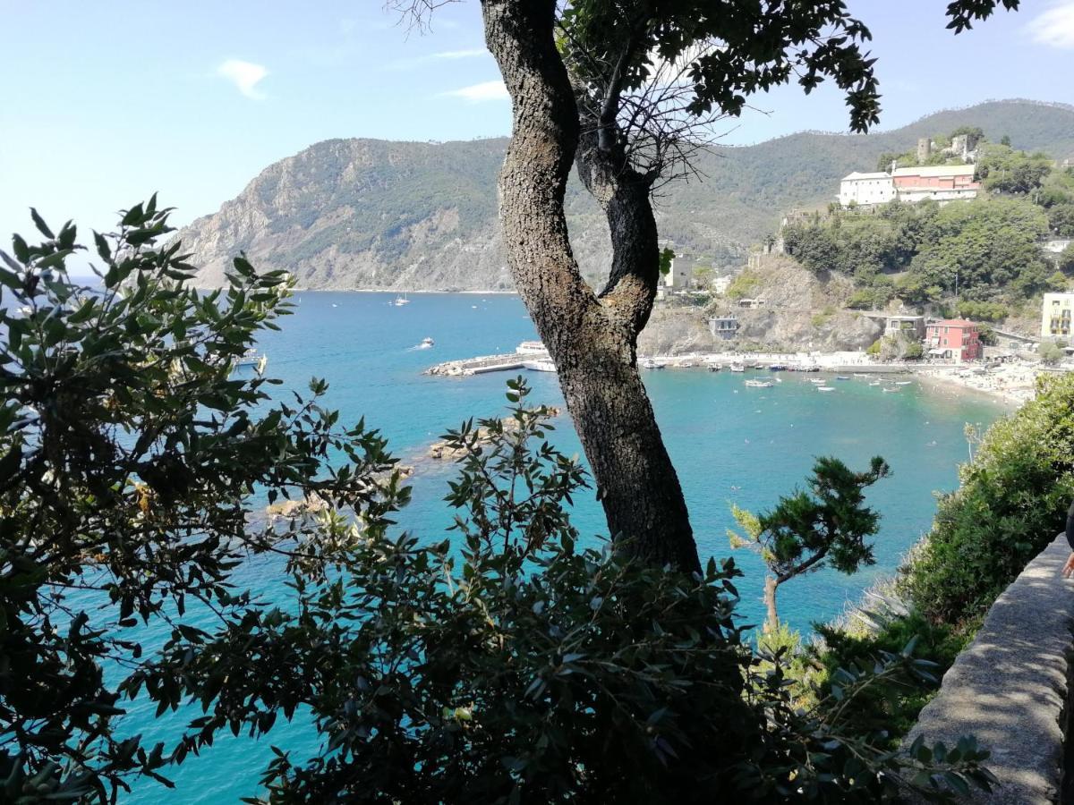Nel Cuore Di Monterosso Cinque Terre Orto Di Ciack مونتيروسّو ال ماري المظهر الخارجي الصورة