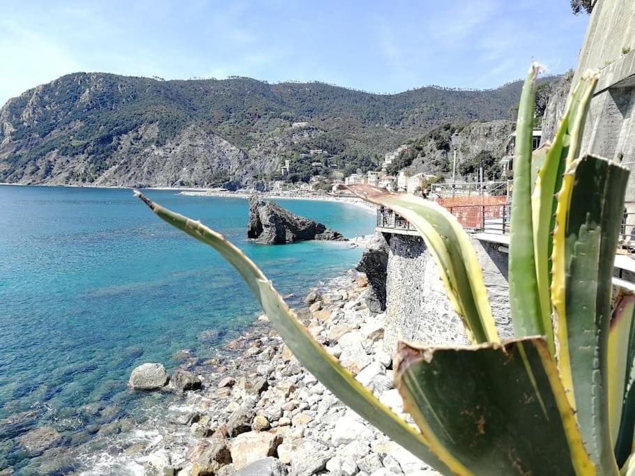 Nel Cuore Di Monterosso Cinque Terre Orto Di Ciack مونتيروسّو ال ماري المظهر الخارجي الصورة
